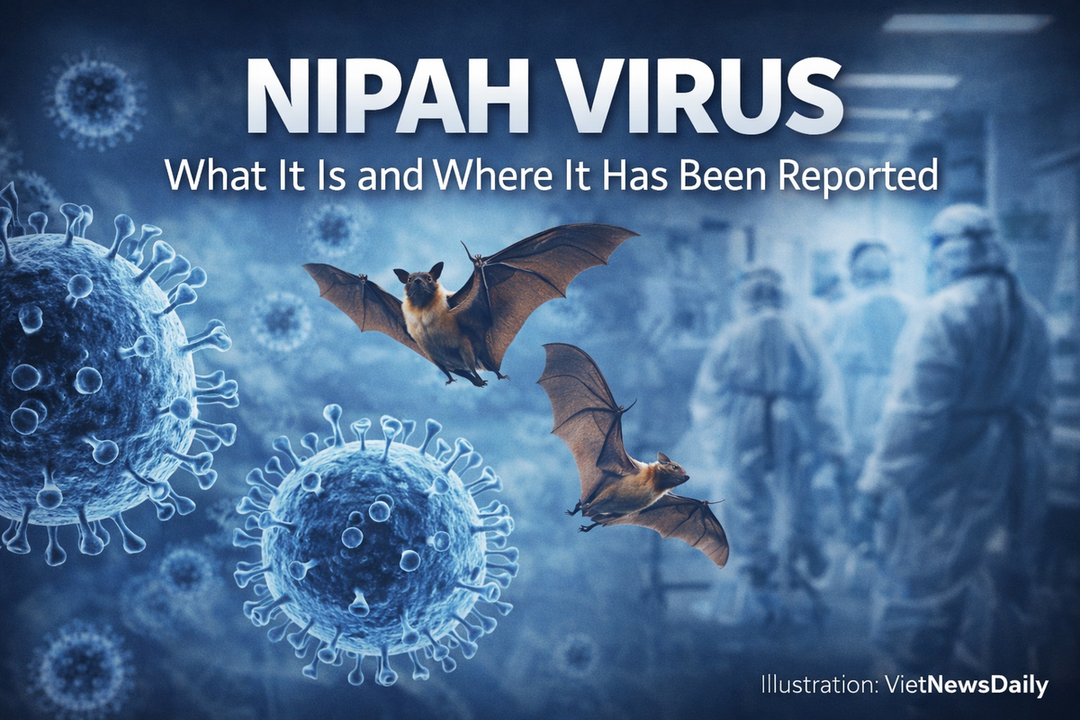 Nipah Virus Reappears in International Health Reports: What It Is and What the Public Should Know