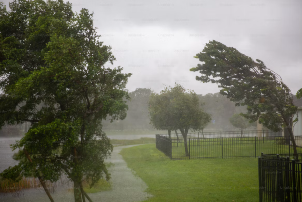 San Jose To Host Free El Nino Storm Preparedness Workshop With Vietnamese Interpretation