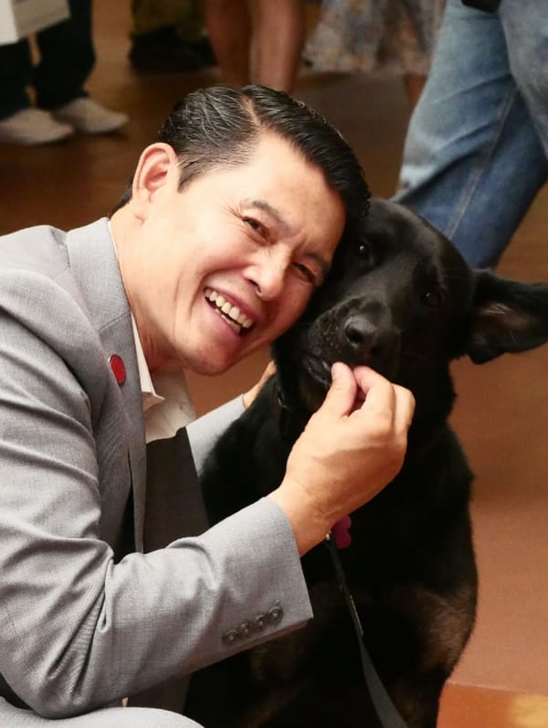 Đến Lúc “Pawty”! Trung Tâm Chăm Sóc Thú Nuôi San José Tổ Chức Sự Kiện Đặc Biệt Clear the Shelters