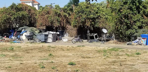 Kiểm Toán Thành Phố San Jose Chỉ Ra Thiếu Trách Nhiệm Trong Dịch Vụ Cho Người Vô Gia Cư