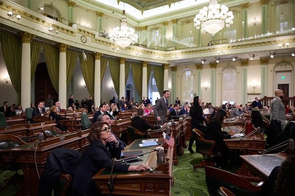 California Lawmakers Found Money for Pet Projects Despite $12 Billion Budget Deficit, Report Finds