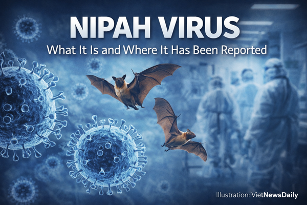 Nipah Virus Reappears in International Health Reports: What It Is and What the Public Should Know