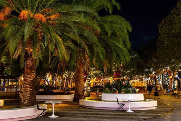 Three suspects surrender in Santana Row assault investigated as possible hate crime