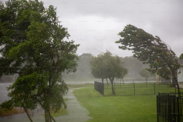 San Jose To Host Free El Nino Storm Preparedness Workshop With Vietnamese Interpretation